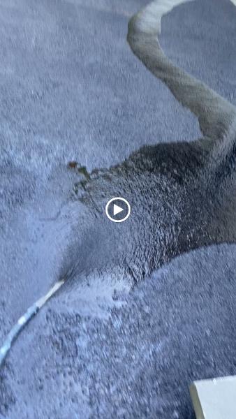 FR Landscaping Paving & Snow Removal Inc