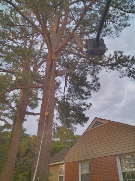 Kingdom Riderz Hauling and Tree Service