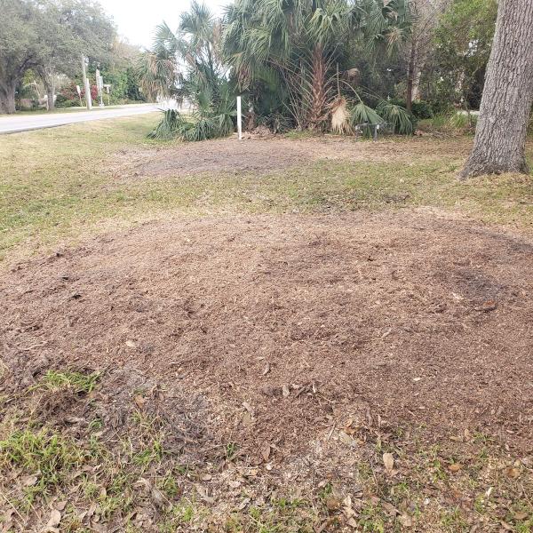 Lopez Tree Service Inc