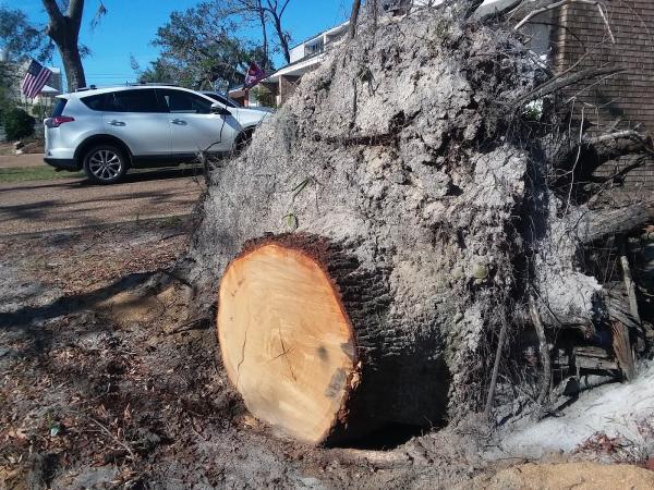 On Time Stumps and Outdoors