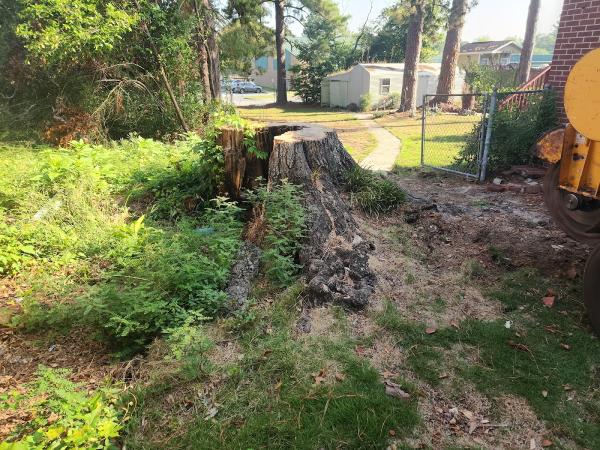 On Time Stumps and Outdoors