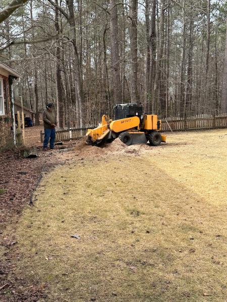 On Time Stumps and Outdoors