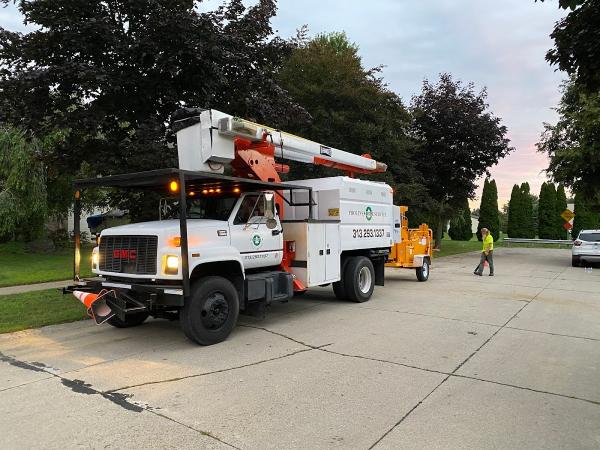 Prolines Tree Service