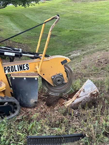 Prolines Tree Service