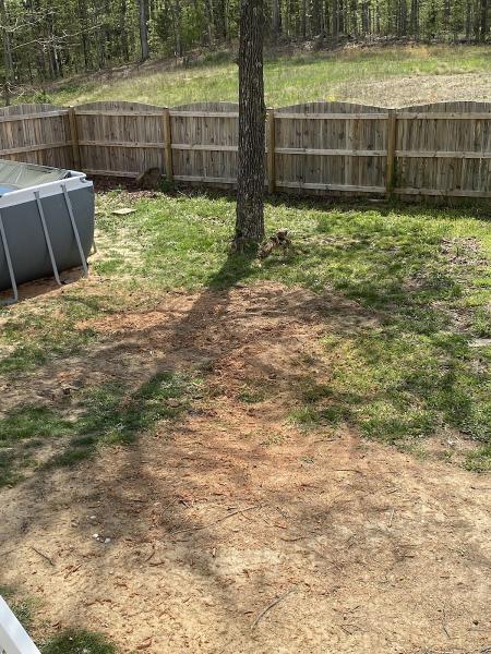 Joe's Trenching & Stump Grinding