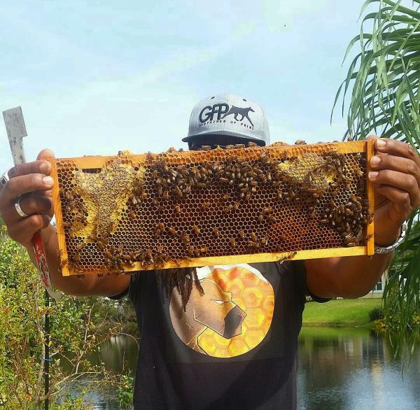 Oxx Beekeeping LLC
