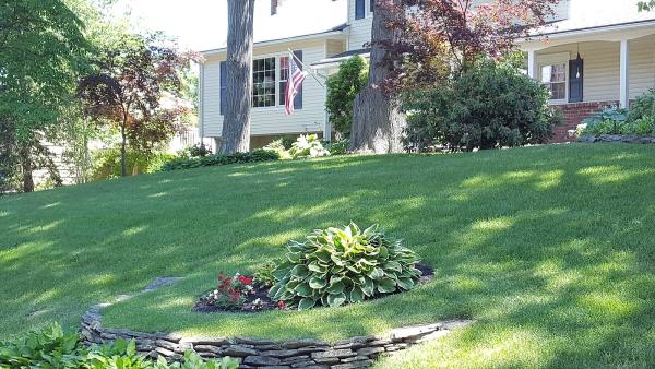 Green X Lawns