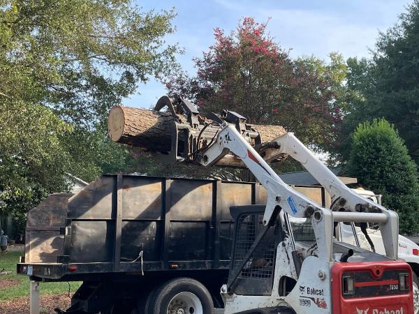Brothers Tree Service NC