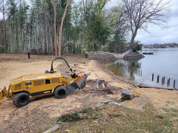 Brothers Tree Service NC