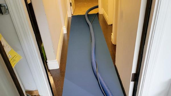 JJ Carpet Care