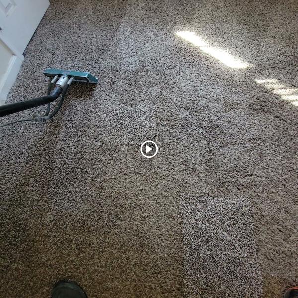 JJ Carpet Care