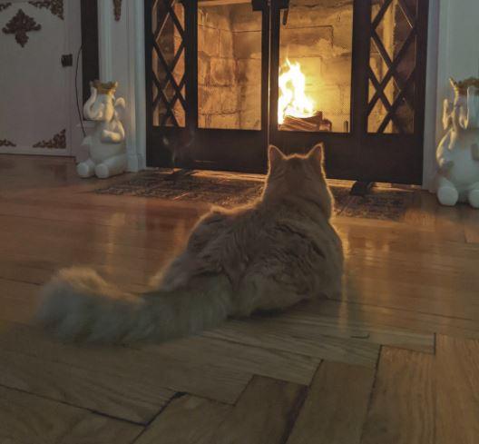 Classic Chimney Services