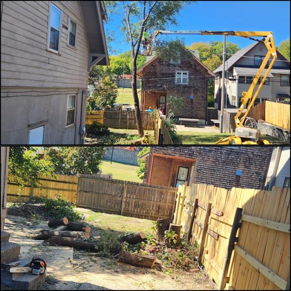 Treebullies Tree Service