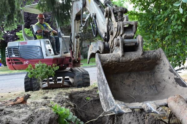 Alpha Environmental Services