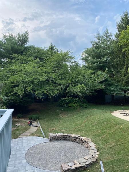 Executive Lawn Care & Landscaping