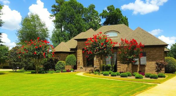 Btops Landscaping