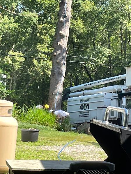 Southern 401 Tree Service INC