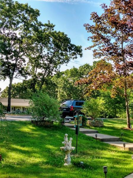 Southern 401 Tree Service INC