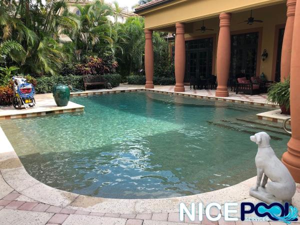 Nice Pool Services