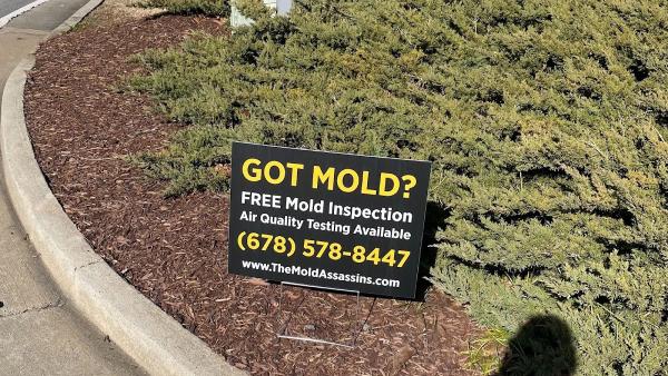 The Mold Assassins