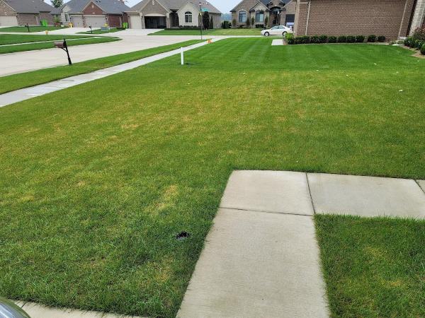 Ecoturf Lawn Care