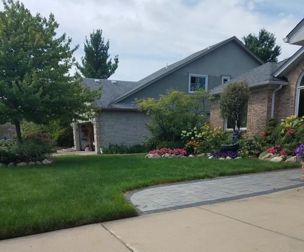 Ecoturf Lawn Care
