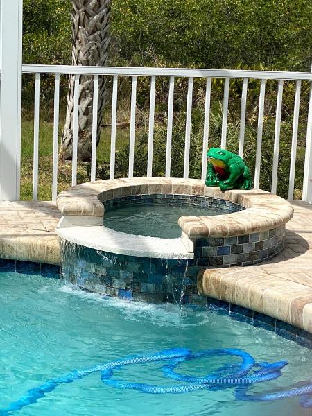 Duck Duck Leak Detection