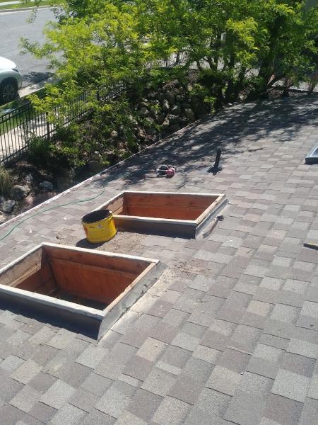 The Roof Ninja