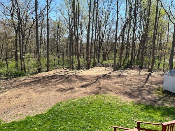 Starr Tree Service Stratford