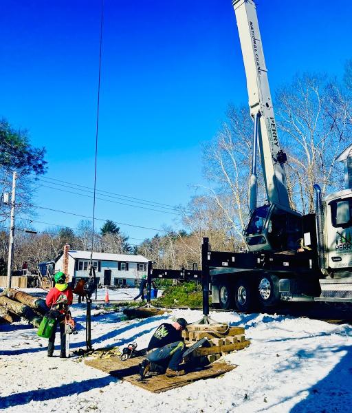 Bridgewater Tree Farm Inc.