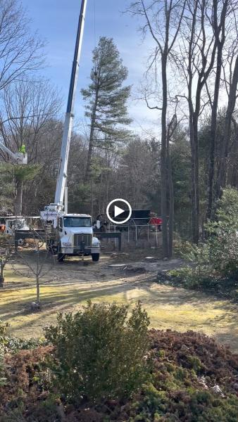 Bridgewater Tree Farm Inc.