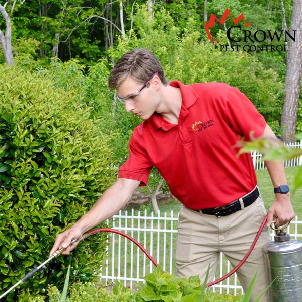 Crown Pest Control