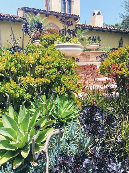 Cal Oasis Design Associates