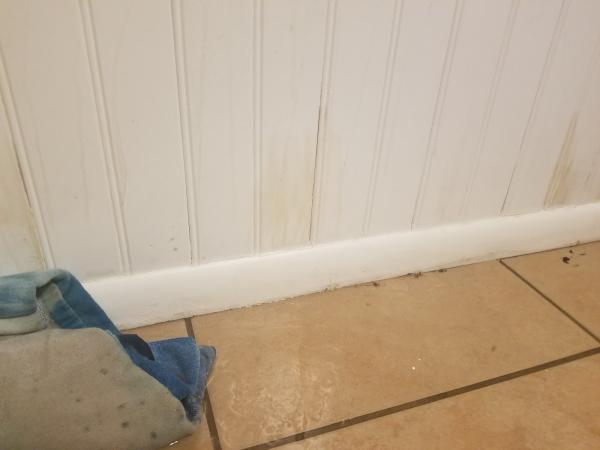 Good Look Home Inspections LLC