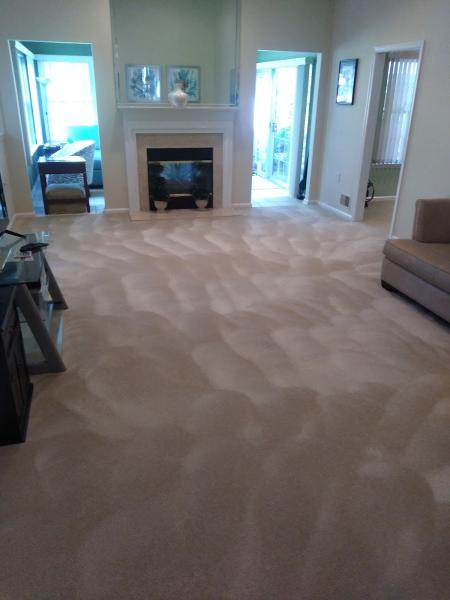 Discount Carpet and Upholstery Cleaning