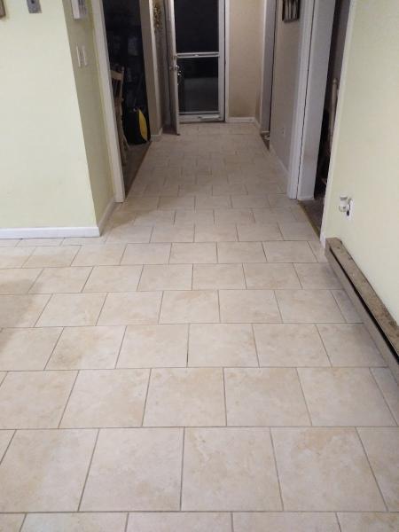 Discount Carpet and Upholstery Cleaning