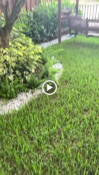 Alle's Landscaping and Designs
