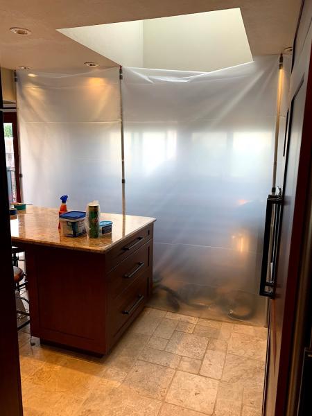 Seattle Mold Removal and Remediation Specialists