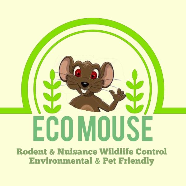 Eco Mouse Rodent and Nuisance Wildlife Control
