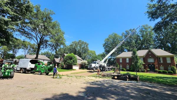 T & J Tree Experts Llc
