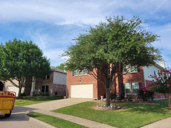 Ridgeline Tree Services