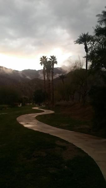 La Quinta Palms Realty