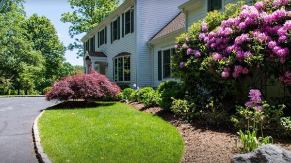 Umanzor Landscaping Inc.