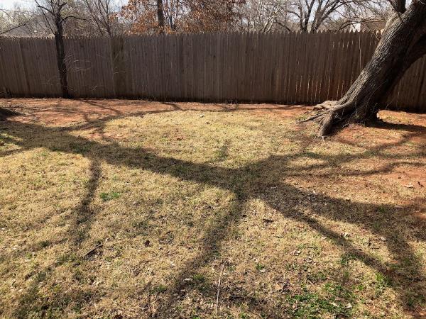 3DL Landscape & Lawn