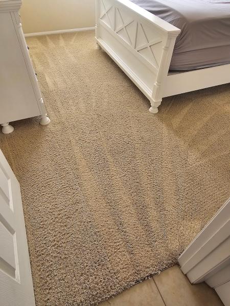 Extreme Steam Cleaning Services