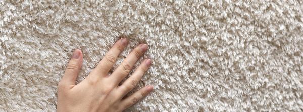 Choice Boston Carpet Care