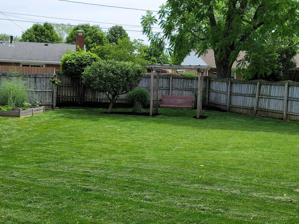 The Organic Turf Company