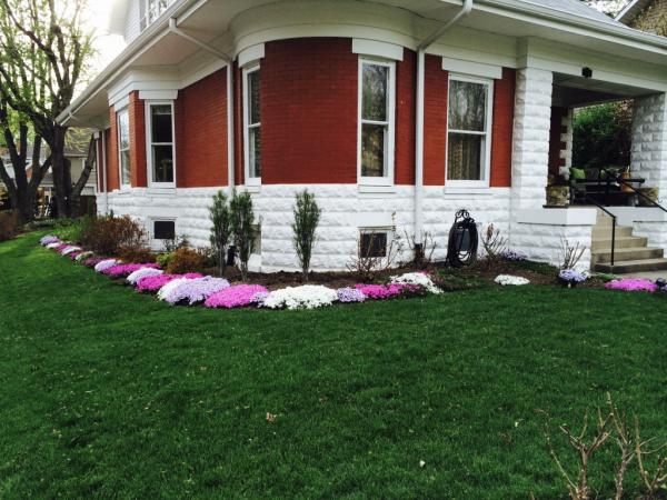 The Organic Turf Company