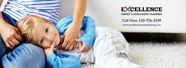 Excellence Carpet & Upholstery Cleaning