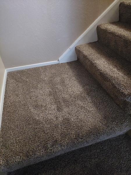 Excellence Carpet & Upholstery Cleaning